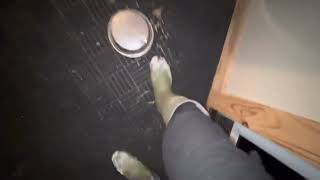 American Staffordshire Terriers In Snow. Snow Day.feeding Animals.staffy Dogs.morning Feeding.dogs.