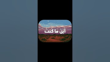أجمل #تلاوة للشيخ #الحصري #سورة_مريم #اكسبلور #قرآن