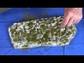 Working with Scenic Textures thumbnail