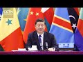 Xi Jinping elogia la amistad y la cooperación entre China y África