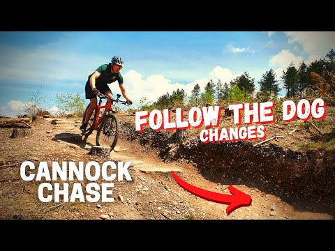 Can a beginner ride the NEW Follow the Dog sections? | MTB Cannock Chase