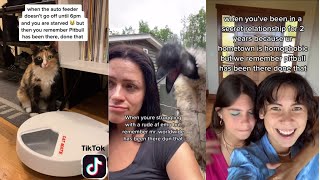 BEEN THERE DONE THAT Funny Pitbull Roast TikTok Compilation