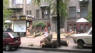 Харьков 2011 незаконная вырубка деревьев