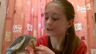 Мои домашние животные :) Мои домашние животные :)