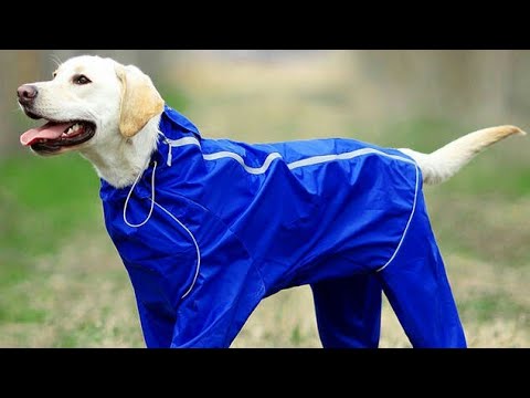 dog-raincoat-reflective-waterproof-clothes