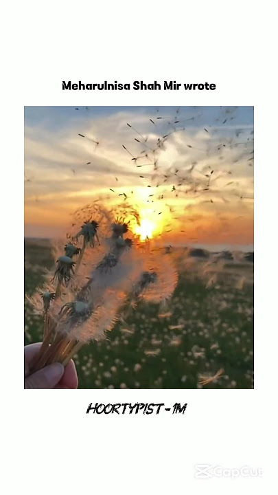 Mohabtain bkht Hoti hn✨♥️ #love #fypシ゚viral #muslimcontent