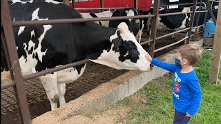 Manning Farm Dairy celebrates 100 years