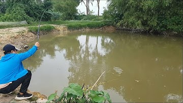 Đi câu cá chép đồng cá rô phi và có một điều bất ngờ