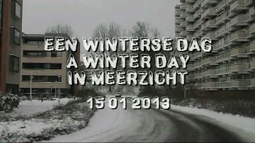 A snowy day in Meerzicht (NL 2013)