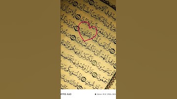 ان للمتقين مفازه ♥ #سورة_النبا #لايك #اكسبلور