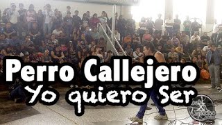 Perro Callejero - Yo quiero ser @ Metro San Lazaro 11abr13 www.rockxmexico.com chords