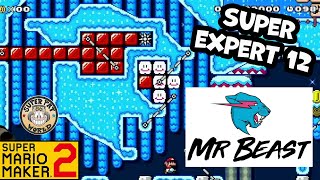 MrBeast In Mario Maker 2 🤯 SMM2 Super Expert Training Play Along 12 🏋️ (Codes At Bottom Of Screen)