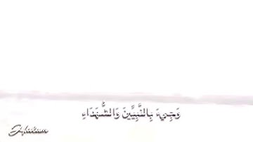 سورة الزمر من ايه 68 _74  💚