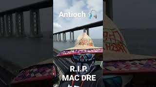 bay area fishing
