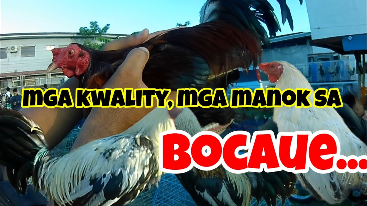 mga nag gagandahang mga linyada dagsa sa bocaue pet market.