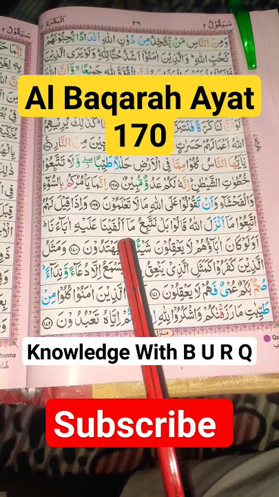al baqarah 170 #surahalbaqarah #quranrecitation #suratulbaqarah #knowledgewithburq #tilawat_e_quran