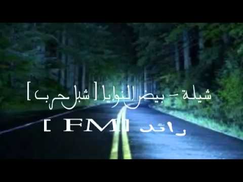 شيله بيض النوايا اداء شبل حرب