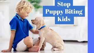 Stop Your Puppy Biting And Nipping At Kids