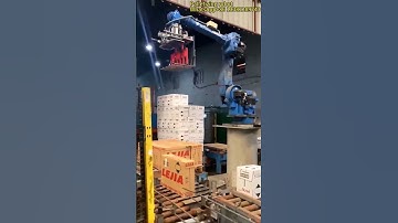 intelligent palletizing robot
