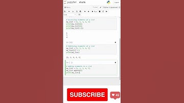 Python Lists: A Beginner