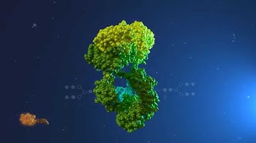 Characterization of Antibody-drug Conjugates (ADC)
