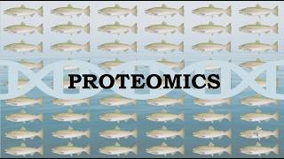 Introduction To Proteomics Omics Applications And Fisheries