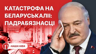 видео: Лукашенко мочит Протасевича / Беда на «Беларуськалии»: подробности картинка: Лукашенко мочит Протасевича / Беда на «Беларуськалии»: подробности