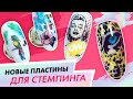 Мастер класс по стемпингу с новыми пластинами ParisNail| школа маникюра