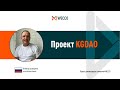 Проект KGDAO. Никита Матвеев, 16 08 2022