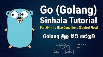 Go (Golang) Control Flow: If, Else, Else If Explained - Part 04 | Sinhala Tutorial