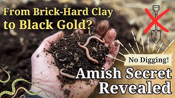 The Amish Method That Turns Concrete-Hard Clay Into Perfect Soil—No Digging Required