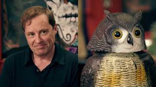 Ardal Ohanlon Being The Charming Irishman On Taskmaster For 34 Minutes