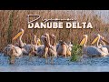 Discover the beauty of the Danube Delta Romania