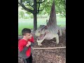 Family Night at Dinosaur Island