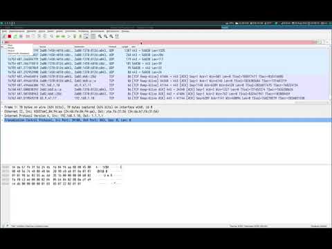 Wireshark. Транспортный уровень. Порты