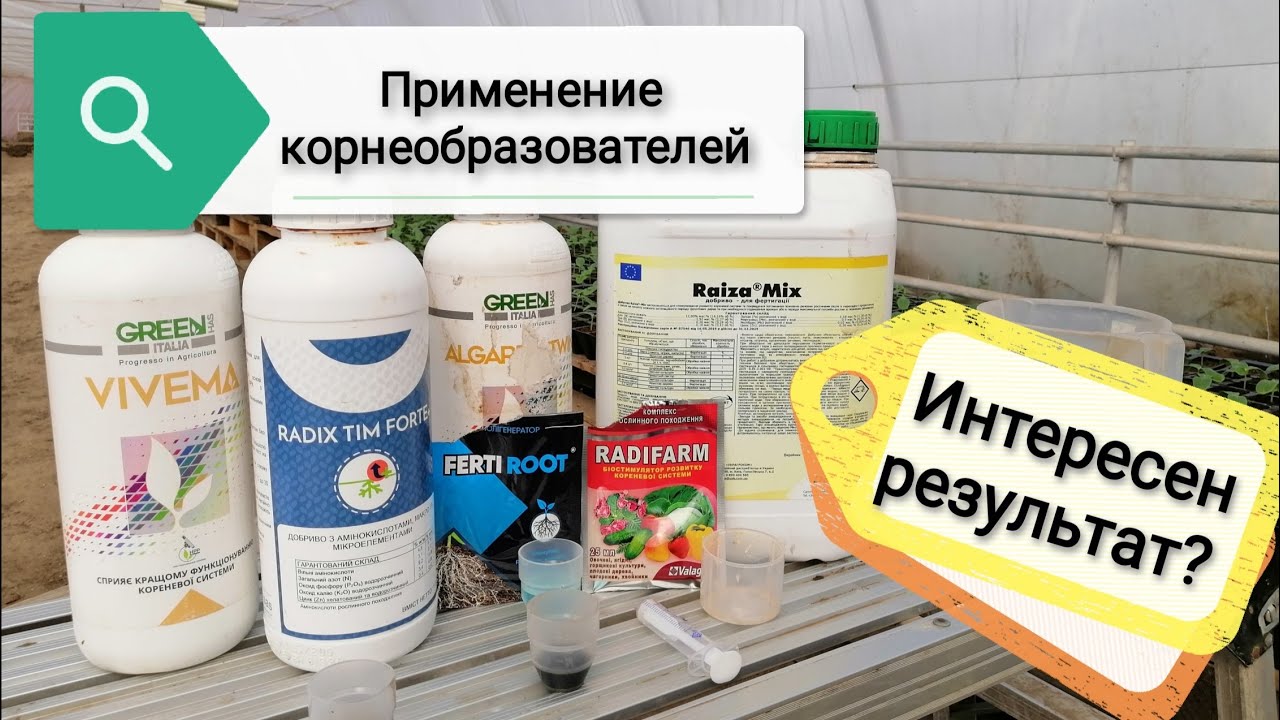 Сравнение корнеобразователей!