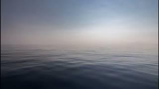 The Cure - Lullaby (Instrumental cover, Mk1)