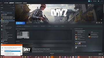 How to Clear your App Data on DayZ