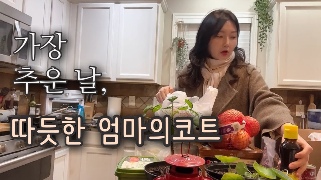 이런날엔 이 코트 / 가장 추운날의 일상 브이로그 