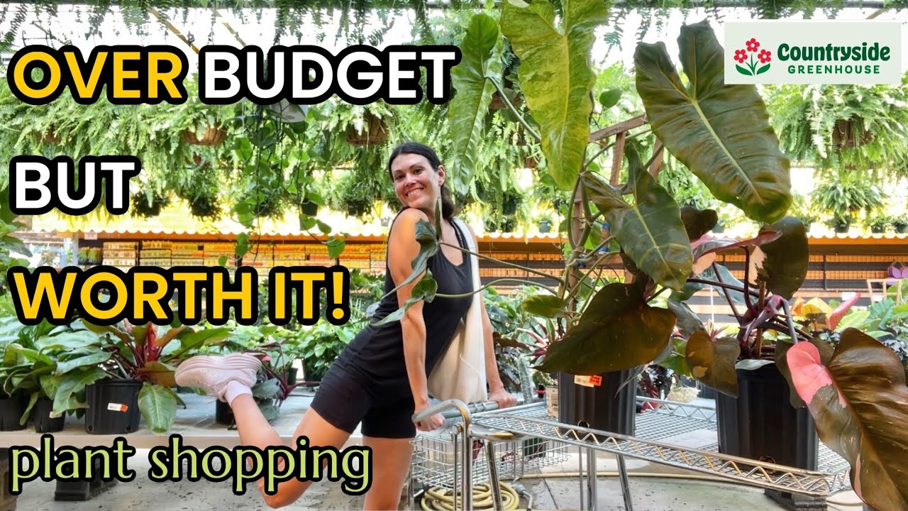 OVER Budget...But WORTH IT! Plant Shopping at Countryside Greenhouse in Michigan! Rare House Plants