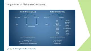 Polygenic Risk Score analysis for Alzheimer's disease risk