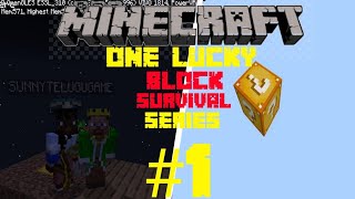 ONE LUCKY BLOCK SURVIVAL SERIES | TELUGU | GAME PLAY | #1 | SUNNYTELUGUGAMER