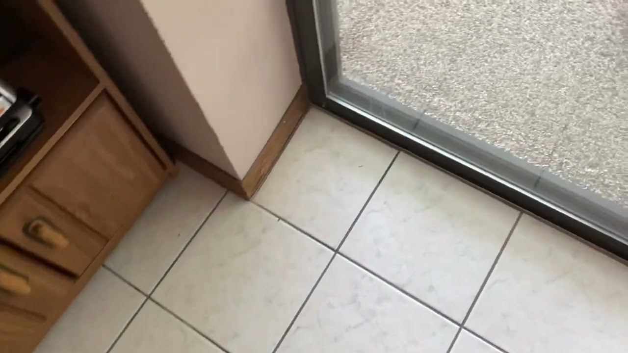 Win’s Movie Production I/E Co Theme Song