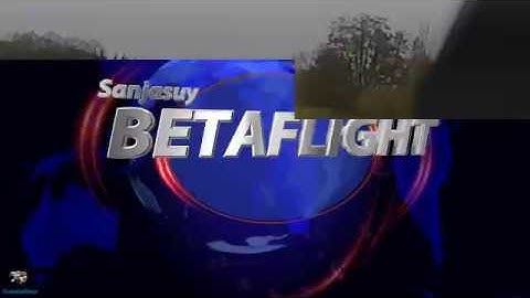 REvolt betaflight(sanjasuy)