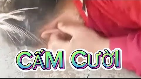 Cười rụng răng, giải trí vui cười cuối tuần..@Vunghiavlog