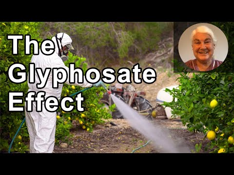 The Glyphosate Effect: How The World’s Most Common Herbicide Is Undermining Your Health And What You