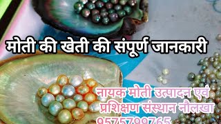 pearl farming (मोती की खेती) pearl farming kese kare uski Puri jankari or training