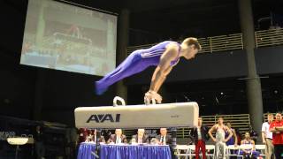 Chris Brooks - Pommel Horse - 2012 Winter Cup Finals