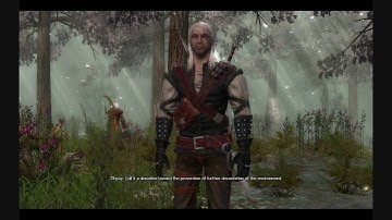 The Witcher-Chapter 2-The Sentry