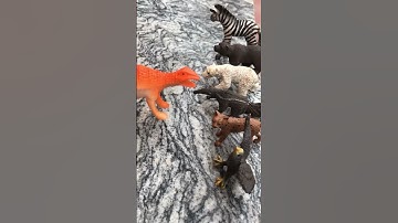 Cá sấu, chim, ngựa vằn, gấu, báo, động vật